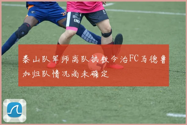 泰山队军师离队执教今治FC马德鲁加归队情况尚未确定