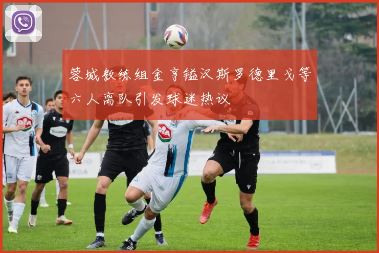蓉城教练组金亨镒汉斯罗德里戈等六人离队引发球迷热议
