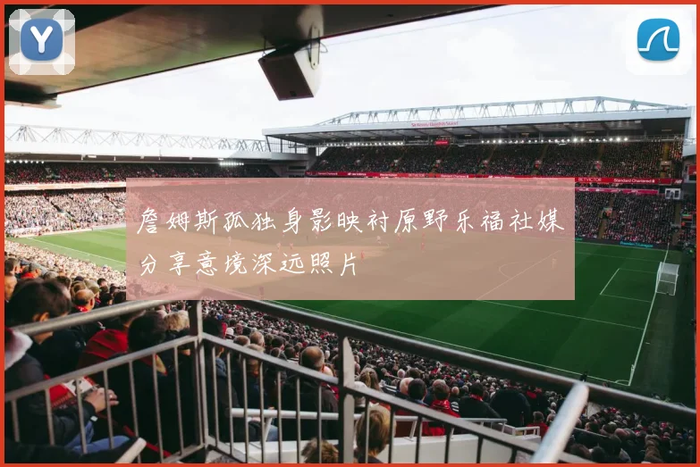 詹姆斯孤独身影映衬原野乐福社媒分享意境深远照片