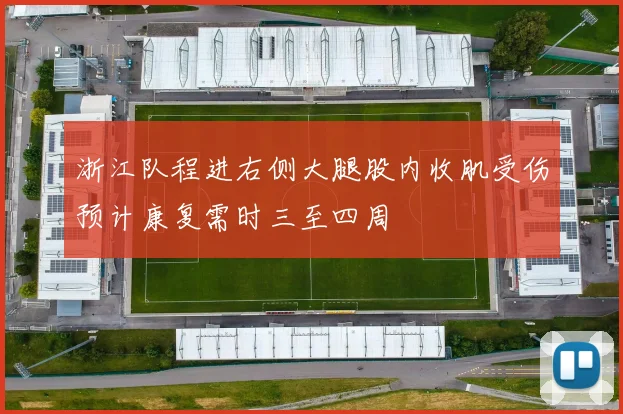 浙江队程进右侧大腿股内收肌受伤预计康复需时三至四周